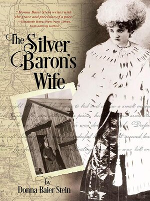 cover image of The Silver Baron's Wife